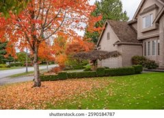 <b>工程质量与施工规范管控</b>