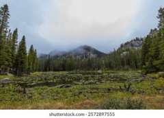 <b>景观规划与方案设计</b>