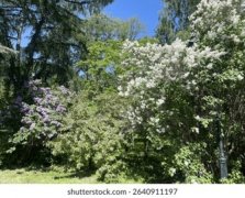 <b>景观配套设施安装</b>